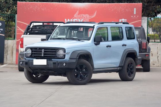  300 Big Suv Fuel Powered Car With Automatic Transmission And 5 Seats